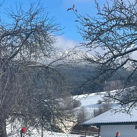 Apartmán Eifler Lam