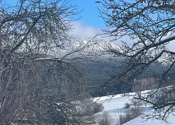 Apartamento Eifler Lam